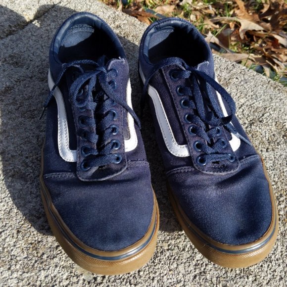 vans ward dx men's skate shoes blue